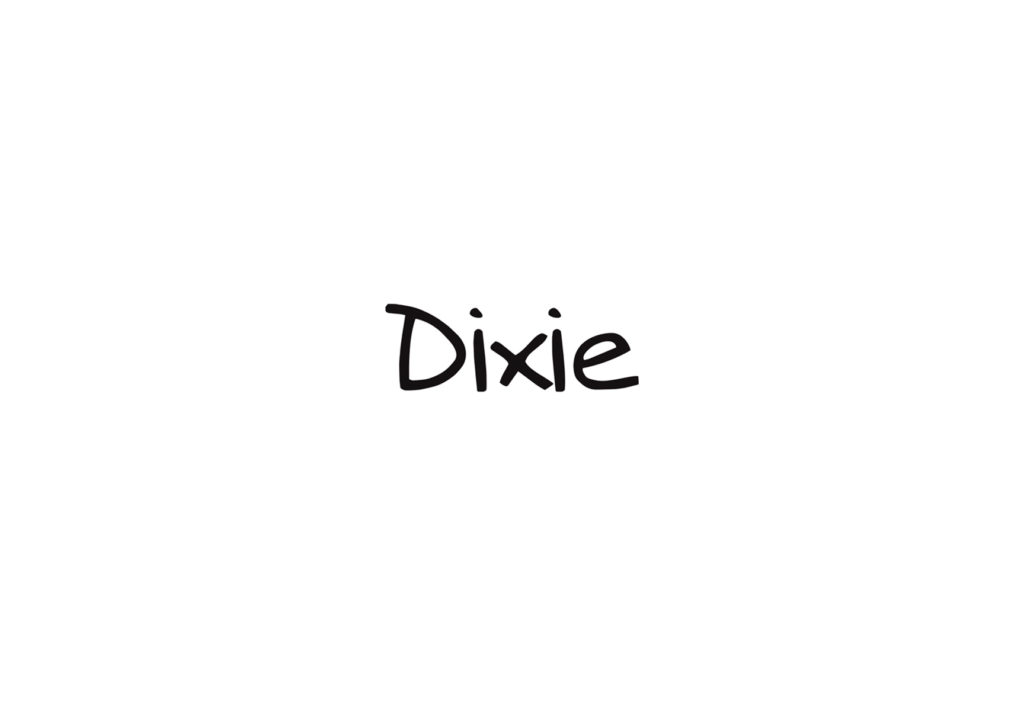 Kurer Modes | Collection Dixie